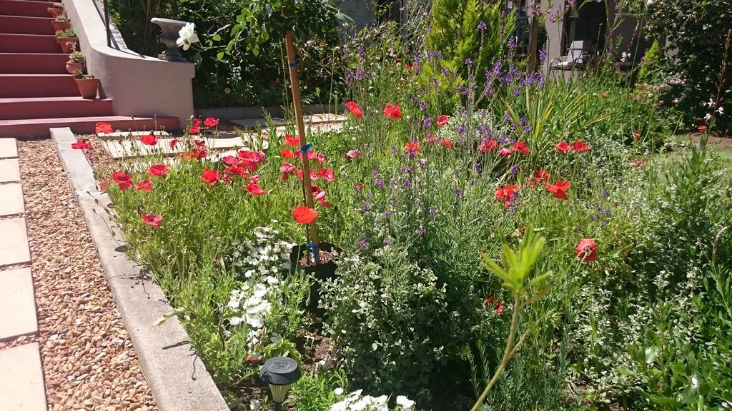 Abigail'S Garden Cottage Montagu Exterior foto